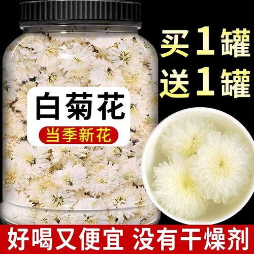正宗黄山白菊500g干菊花茶另售特级野生胎菊金丝皇菊婺源黄非贡菊