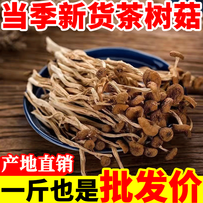特价冲量茶树菇干货500g开伞嫩菇福建特产香菇类干新鲜精品炖汤