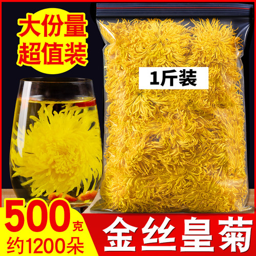 金丝皇菊黄菊一朵一杯特级大菊花