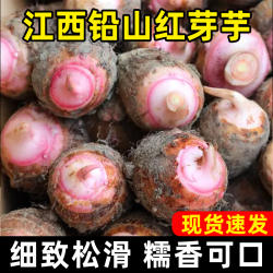 新鲜红芽芋江西铅山红芽芋小芋头芋仔香芋农家粉糯毛芋牛奶芋头