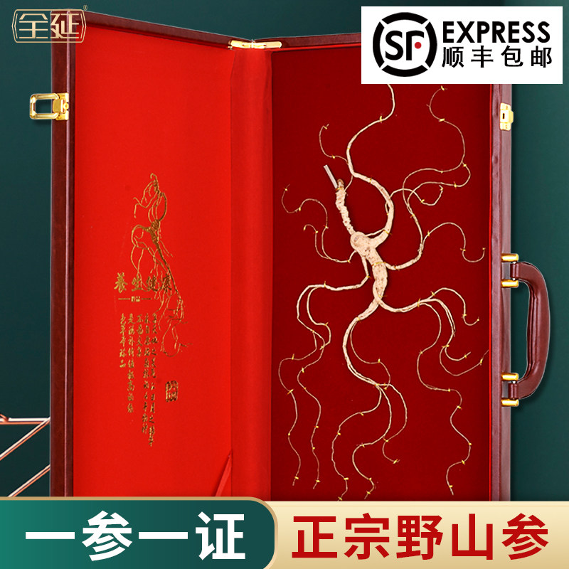 国检野山参东北长白山人参野生林下参泡酒送礼高档礼盒一等参