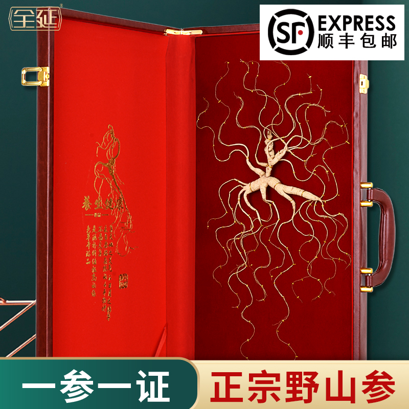 国检野山参东北长白山野生人参林下参山参送礼高档礼盒装
