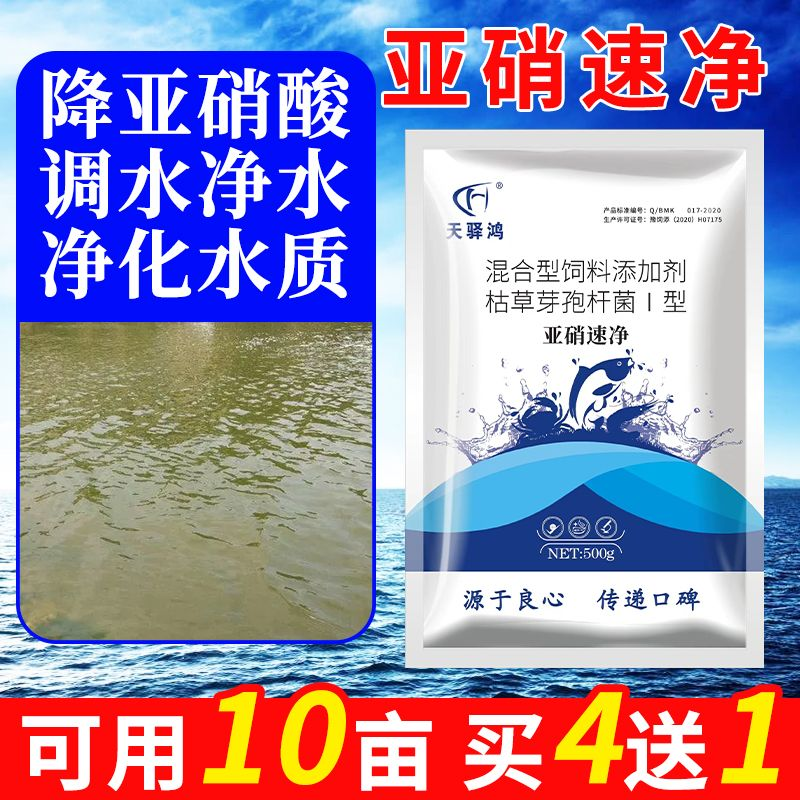 亞硝速凈水產養殖降亞硝酸氨氮