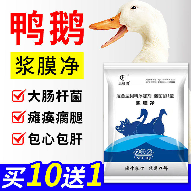 天驿鸿禽用浆膜净鸭鹅传染性浆膜大鸡鸭鹅肠杆菌炎心包炎用添加剂