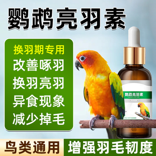鹦鹉靓羽素加速换羽素增强羽色防断羽促进羽毛生长丰羽补钙用品