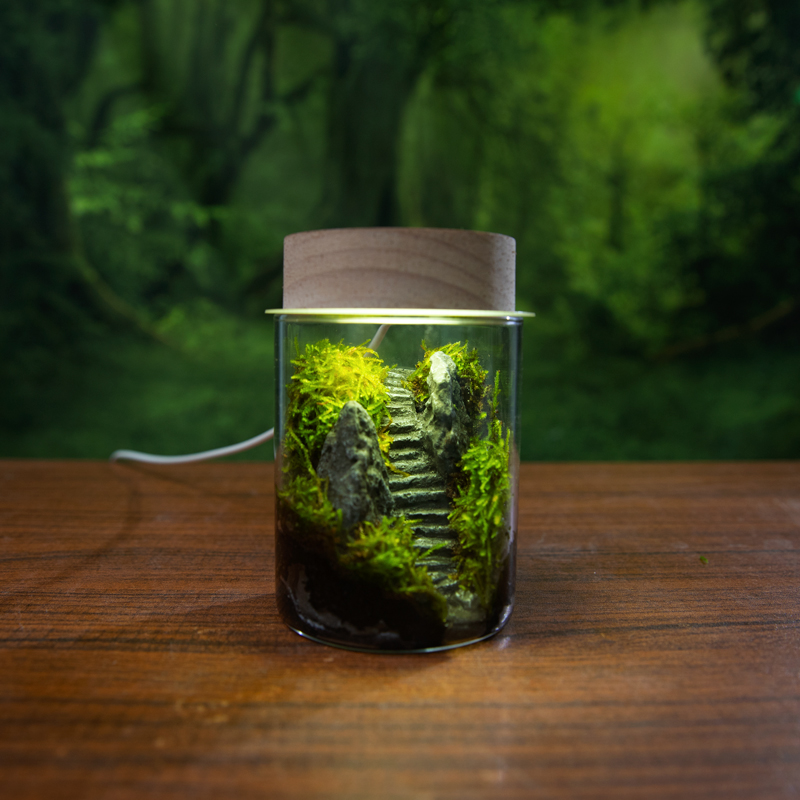 峰回路转 创意苔藓微景观生态瓶闷养苔藓瓶成品桌面微型景观