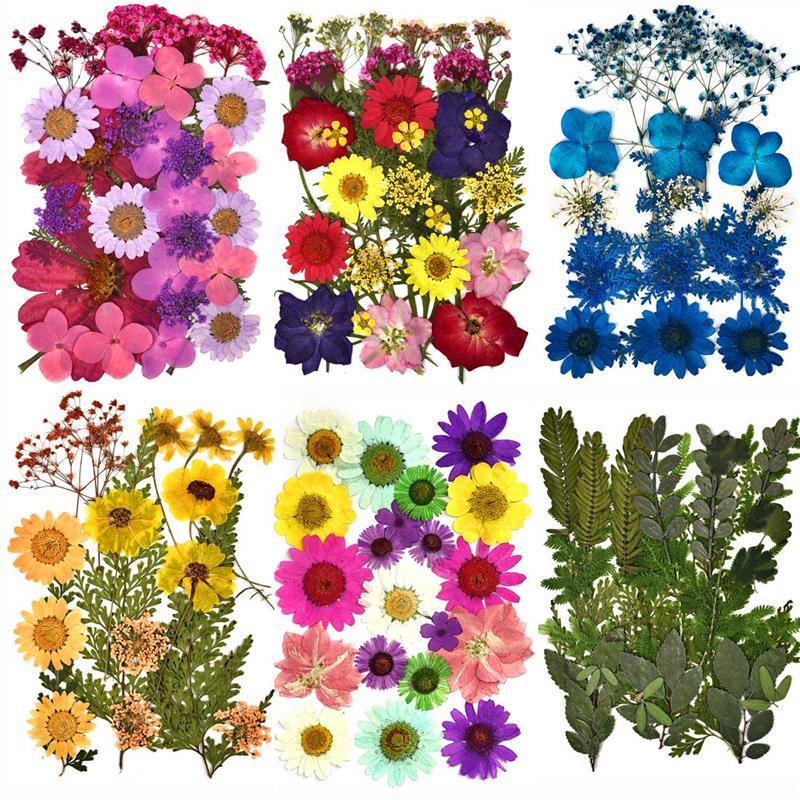 DIY Dried Flowers Resin Mold Fillings UV Expoxy Flower for