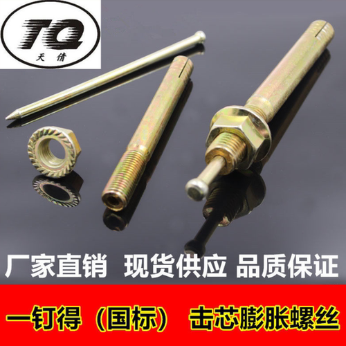 一钉得举升机膨胀敲击式TQ