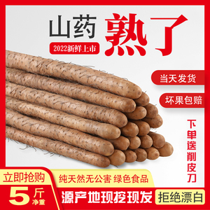新鲜小白嘴山药正宗铁棍山药当季蔬菜非温县垆土铁杆淮山药5斤