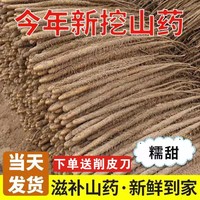 粉糯正宗铁棍山药小白嘴白山药新鲜蔬菜淮山药非河南焦作温县垆土