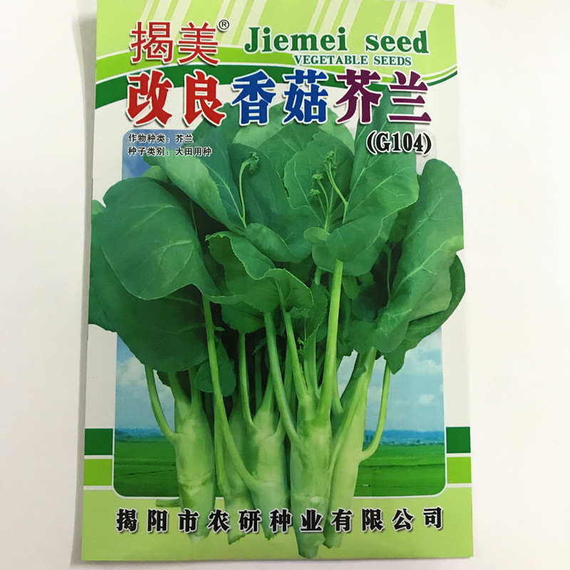 揭美香菇种芥兰种子20克 粗条芥蓝籽 高产农业阳台种植蔬菜种子