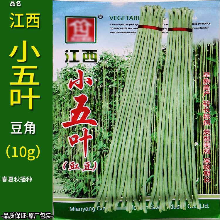 江西小五叶豇豆10g长豆角豇豆带豆四季蔬菜种子孑籽脆酸菜泡菜盆