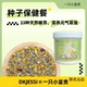 一只小富贵DKJESSI鼠粮种子保健餐33种天然精萃滋养元 气萌宠