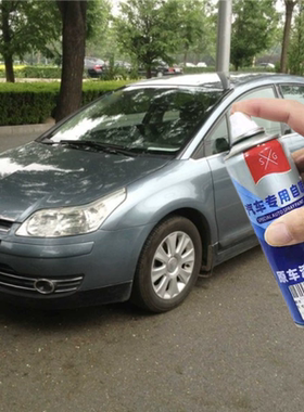 适用雪铁龙凯旋水晶银色专用自喷漆汽车划痕修复补漆防锈红色补漆