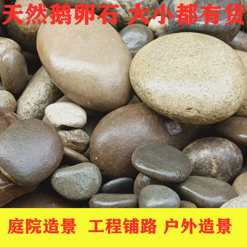 天然河卵溪流大块压菜鹅卵乌龟晒台石头鱼缸庭院造景花园围边摆件 D S 淘优券
