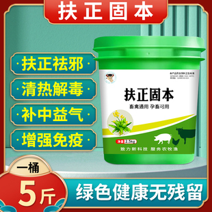扶正解毒散兽用猪用蓝耳圆环净化母猪保健孕畜可用