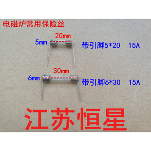 电磁炉保险丝管 20MM 带引线保险丝管 15A 250V 30MM 保险