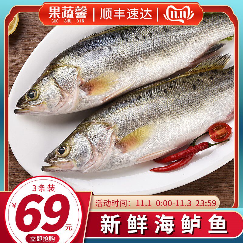 新鲜鲈鱼5条鲜活冷冻海鲜深海鱼水产清蒸鲈鱼红烧七星海鲈鱼商用