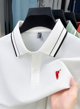 【奥莱品牌折扣】保罗夏季男士短袖T恤条纹翻领商务半袖纯棉polo