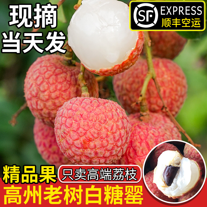 顺丰空运老树白糖罂荔枝新鲜广东高州茂名荔枝糯米桂妃子味笑水果