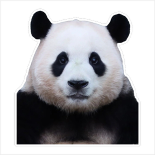 熊猫可爱福宝车贴UV彩印创意贴纸汽车车贴划痕遮挡遮盖个性定制贴