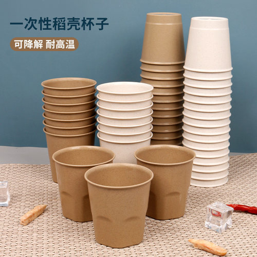 稻壳一次性加厚可降解家用水杯
