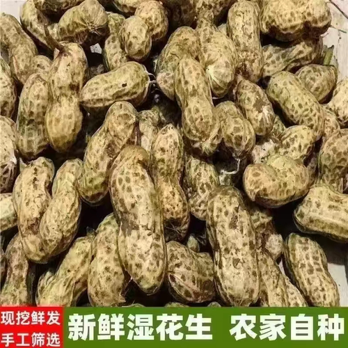新鲜湿花生粉皮现挖先发3斤