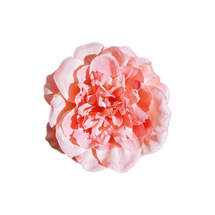 海边度假粉色花朵发夹女2026新款高级感夹子发卡配饰头花头饰发饰