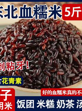 促销5斤装】农家血糯米端午包粽子米紫糯米奶茶甜品东北五常杂粮
