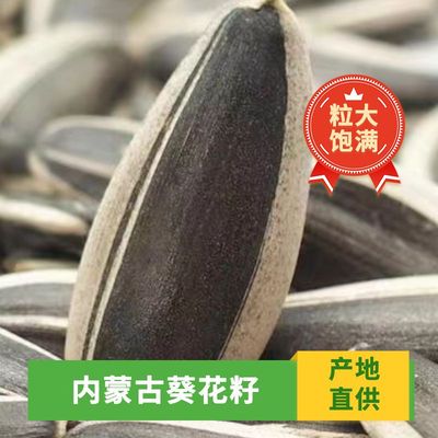 5斤净重瓜子内蒙古五香颗粒葵花籽原味批发炒货休闲新货散装零食