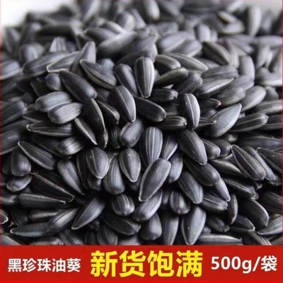 新货油葵黑珍珠原味葵花籽小油葵瓜子五香炒熟大袋装奶油零食批发