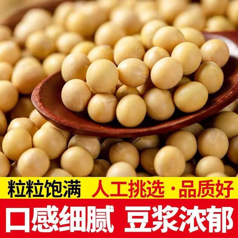 黄豆打豆浆专用农家自种东北非转基因新小黄豆批发本地老品种大豆
