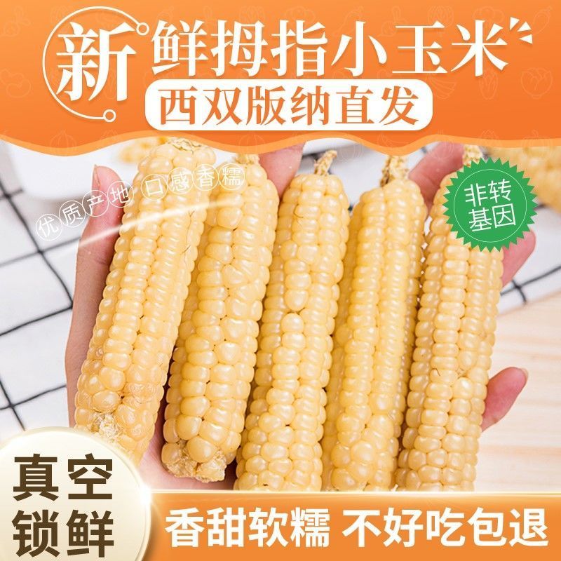 正品云南西双版纳拇指小玉米老品种迷你手指早餐低脂小糯玉米香甜