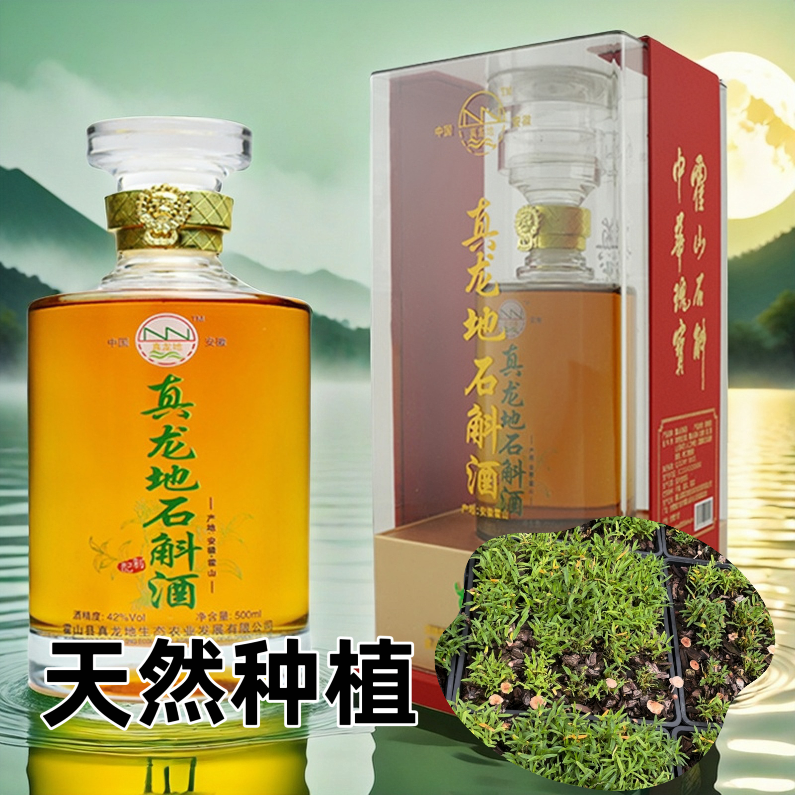 霍山真龙地石斛酒桃仁仙草酿造42度石斛原浆浸泡配制节日送礼