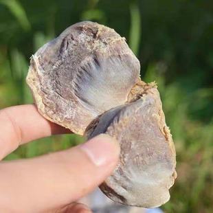 【两斤装】江西特产风干鸭胗腊鸭胗鸭肫鸭肾农家自制咸鸭胗鸭庆子