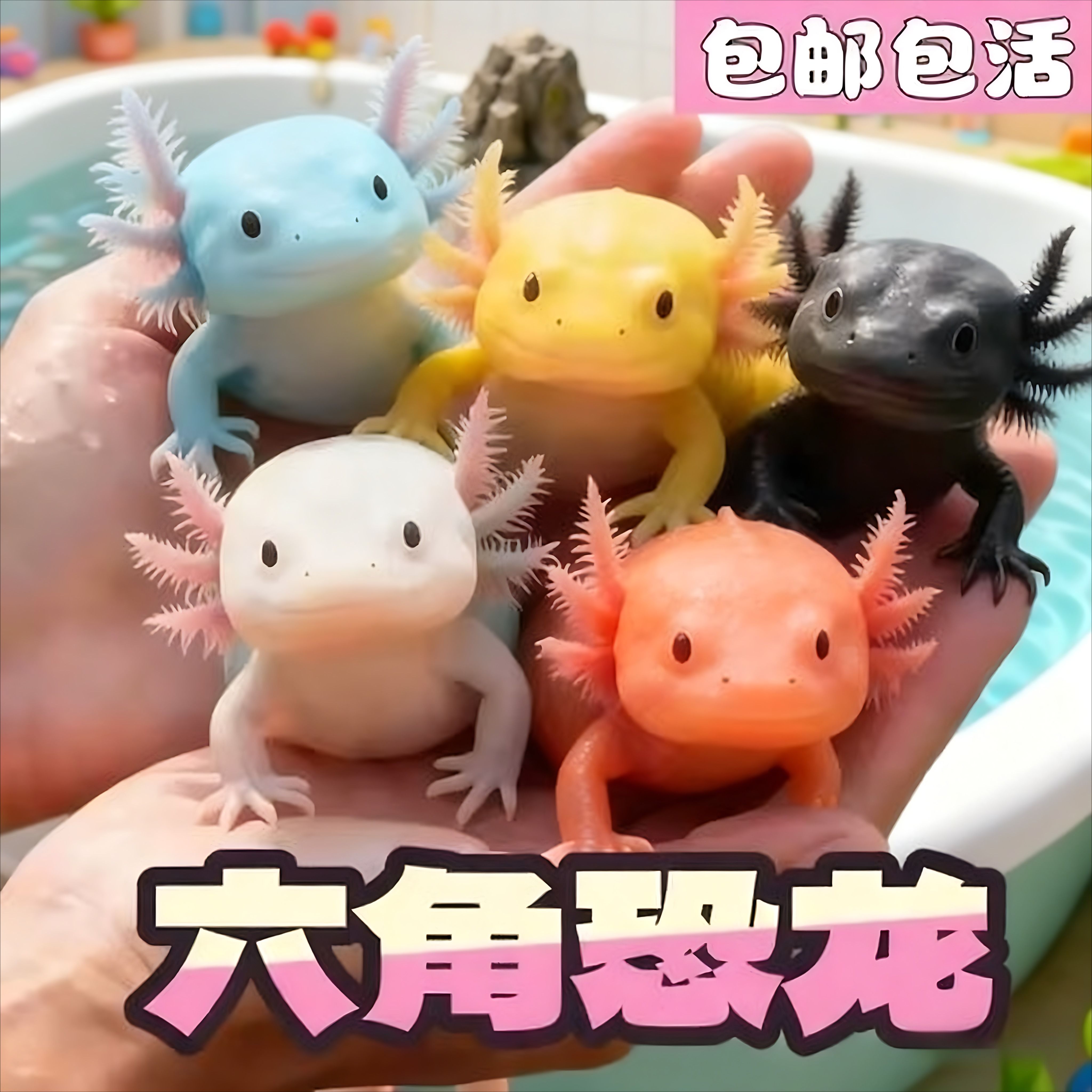 六角恐龙蝾螈龙鱼淡水鱼观赏鱼自来水宠物金鱼活物好养冷水懒人