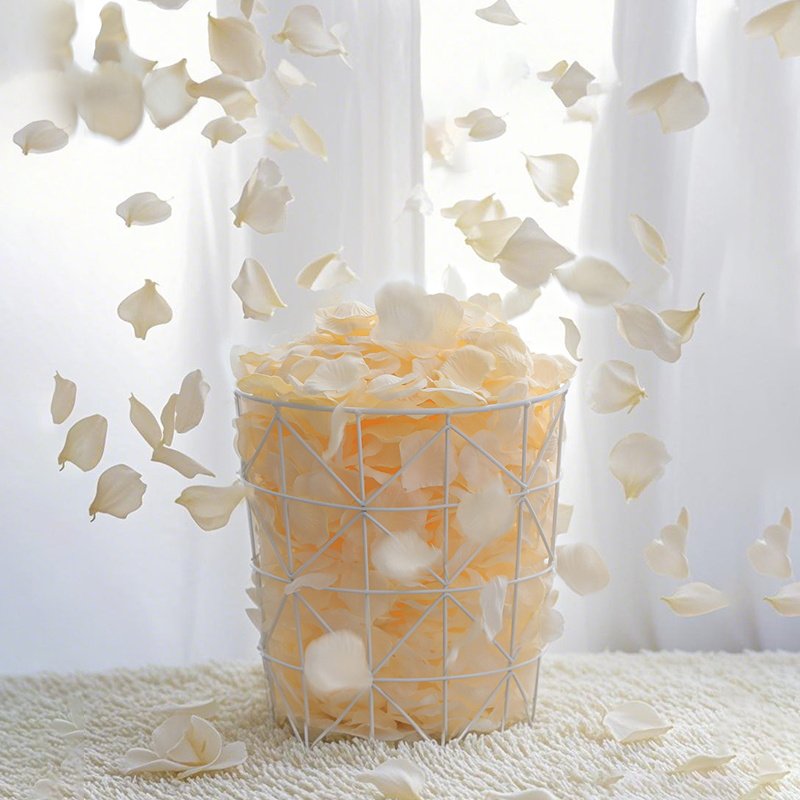 假花瓣白色仿真玫瑰花瓣结婚场景氛围布置婚礼现场手撒花装饰道具,节庆用品/礼品,节日装扮用品,淘宝优惠券,粉丝福利购,淘宝优惠卷