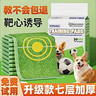 宠物狗狗尿垫加厚吸水一次性隔尿垫幼小狗用品引导除上厕所臭