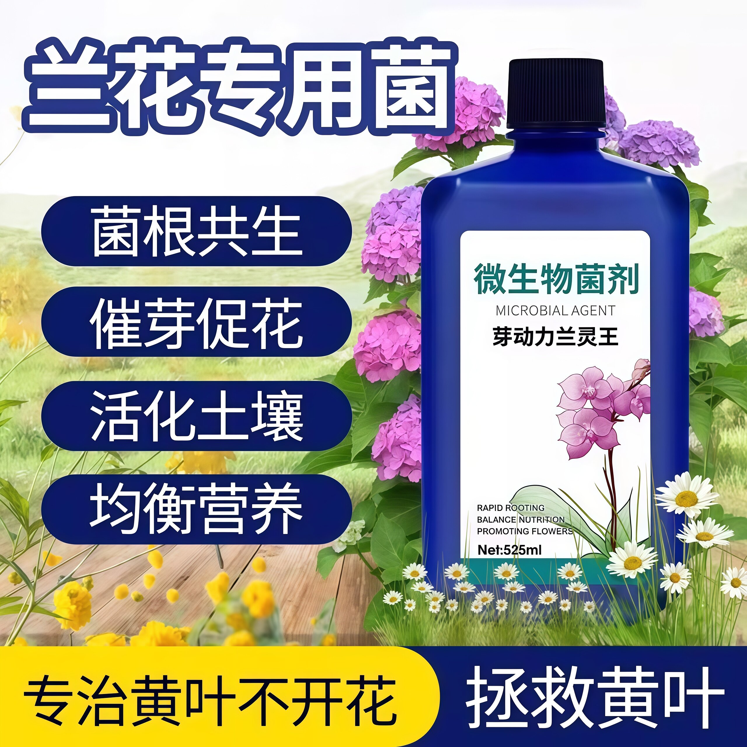 芽动力兰灵王兰花专用肥营养液肥料促花蝴蝶兰菌药君子兰科活化剂