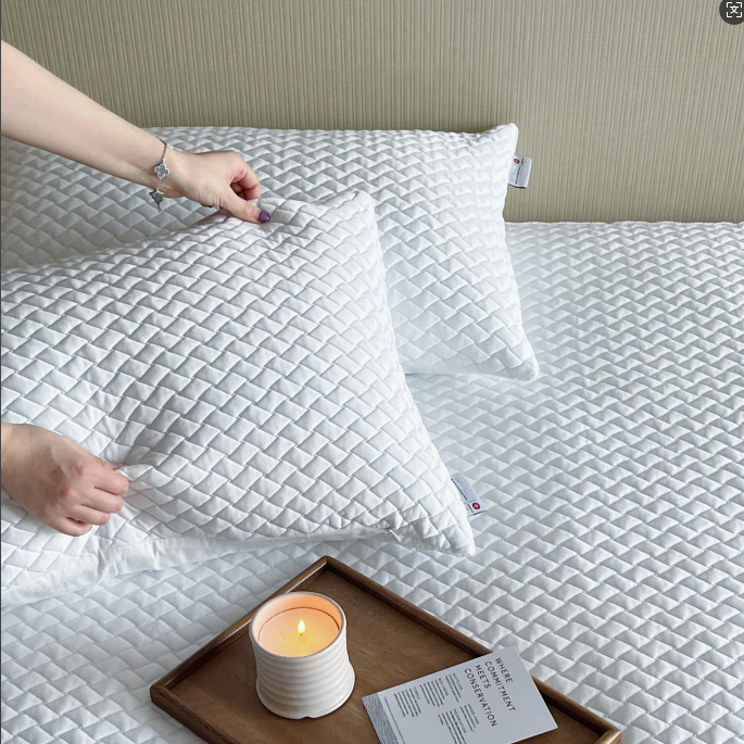 PLANTINUM/铂睿·极简美学