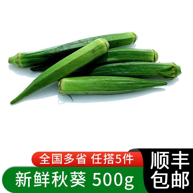 绿食者 秋葵500g 新鲜蔬菜沙拉食材水果黄秋葵六角羊角豆 5件包邮