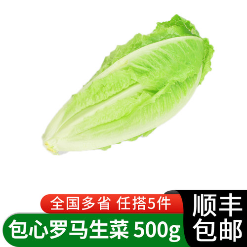绿食者包心罗马生菜沙拉食材西餐