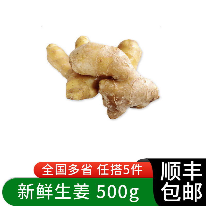 生姜500g 新鲜蔬菜调味料大生姜/南姜