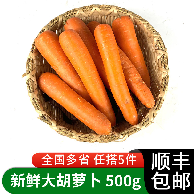 新鲜大胡萝卜500g 时令蔬菜萝卜/胡萝卜