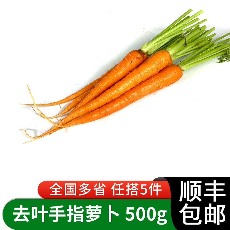 新鲜去叶沙拉食材5件手指胡萝卜
