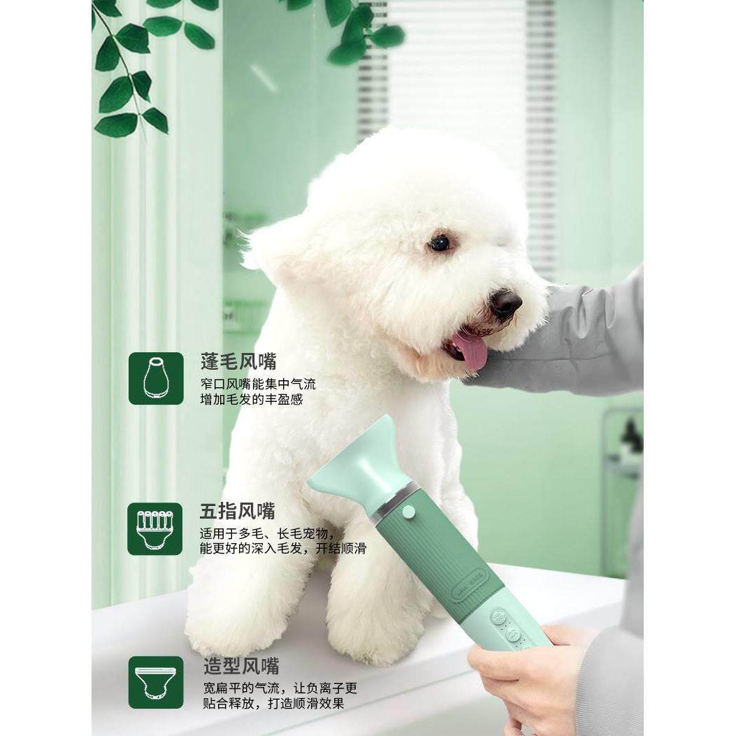 来旺兄弟吹水机宠物洗澡狗狗猫咪专用低音高风速大功率速干吹风机