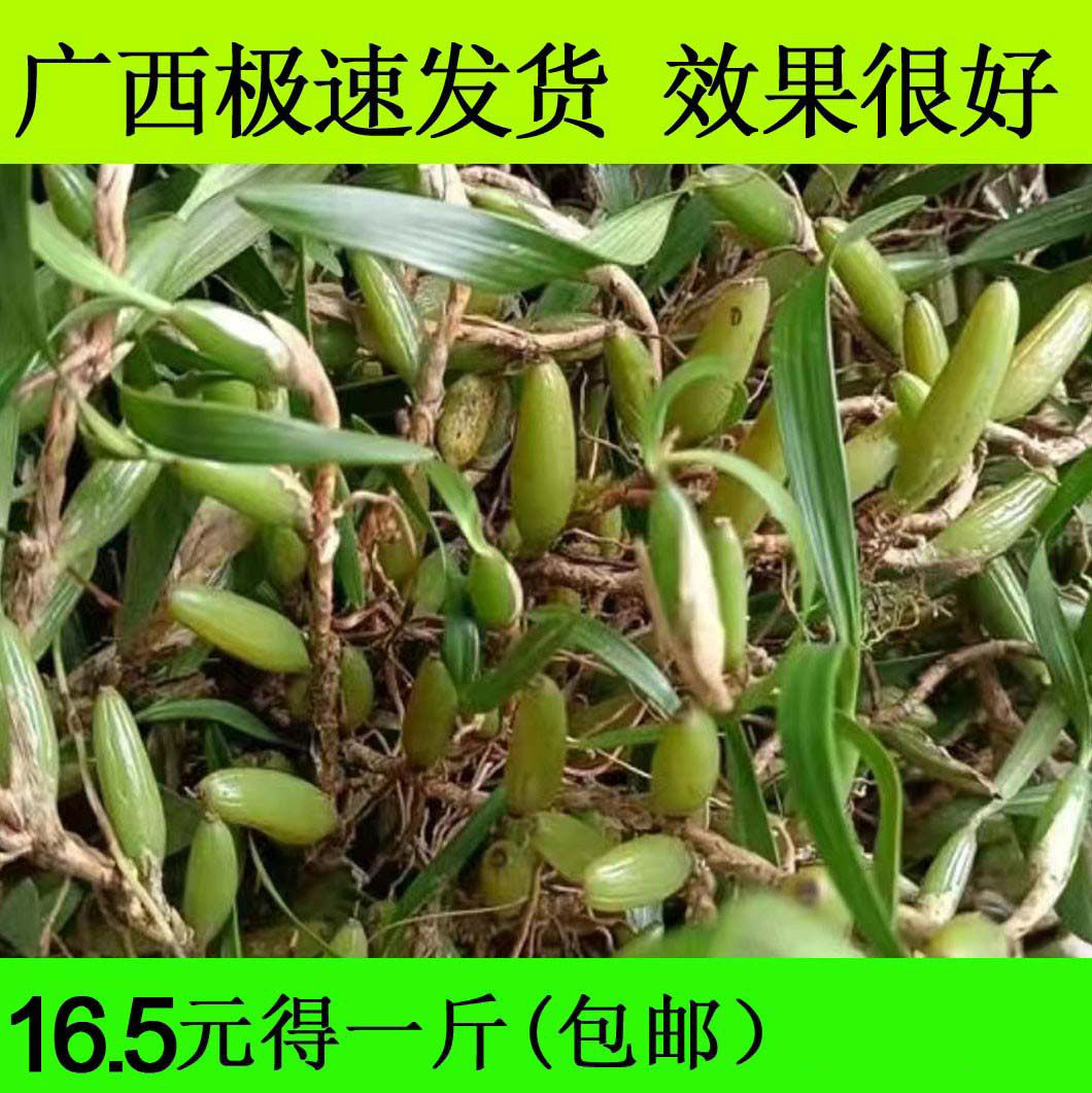石橄榄新鲜500g双叶中小号石仙桃果种植盆栽炖汤补品煲汤材料单叶图片