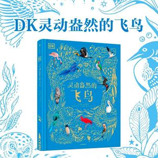 DK灵动盎然的飞鸟 DK典藏博物馆系列100余幅可爱手绘 讲解鸟类的进化和它们炫丽多彩的世界 大幅精美飞鸟真实照片 鸟类科普知识书