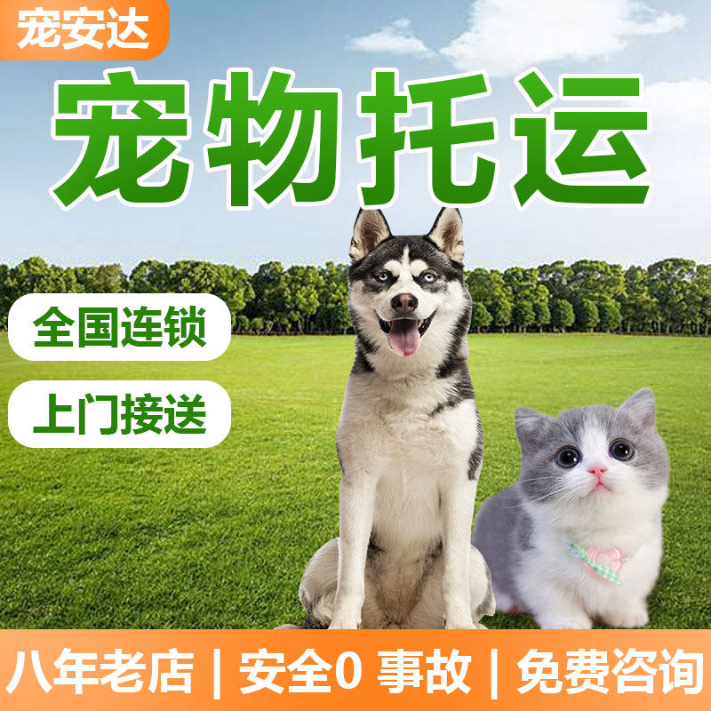 宠物托运服务全国际北京上海广州深圳空运输专车猫咪狗狗快递邮寄