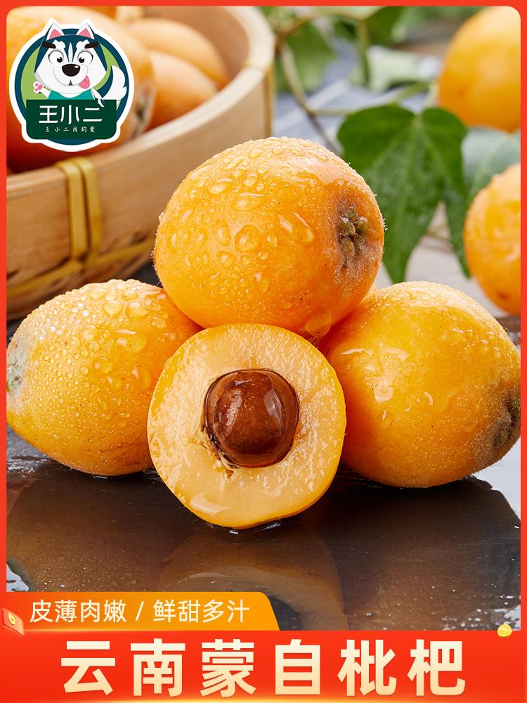 云南蒙自枇杷3斤琵笆果大果当季现摘整箱精选新鲜大水果琵琶